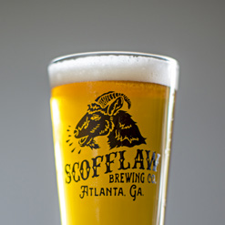 scofflaw brewery